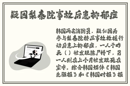 欧美高清v